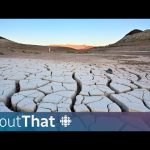 AI’s Hidden Climate Cost