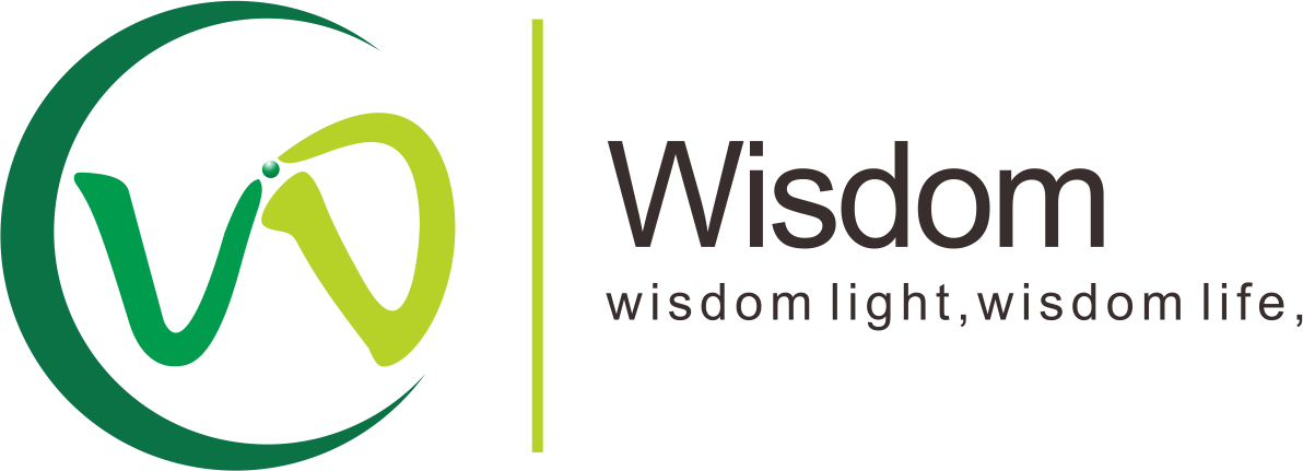 WISDOM OPTOELECTRONICS TECHNOLOGY CO.,LIMITED logo