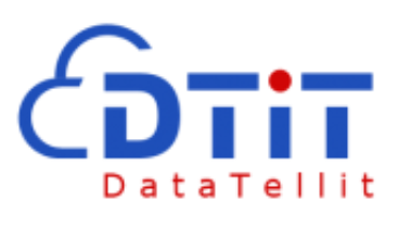 DATATELLIT INC. logo