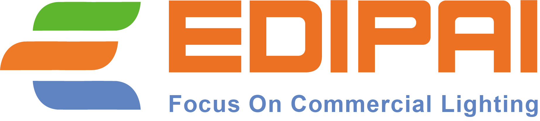 EDIPAI LTD logo