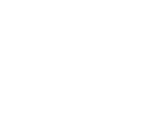 PURA LIGHTING INC logo