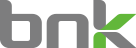 BNK CO LTD logo