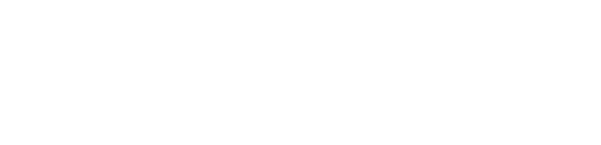 SARIN ENERGY INC. logo